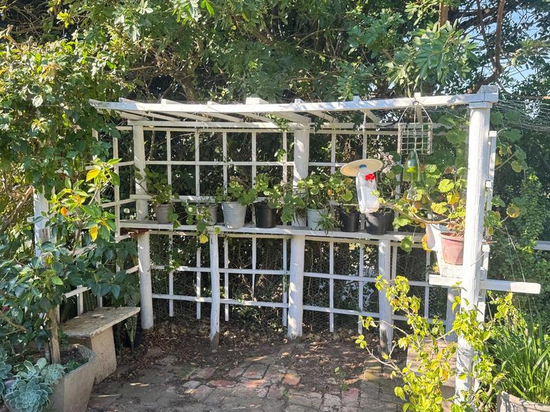 3 Bedroom Property for Sale in Port Alfred Eastern Cape
